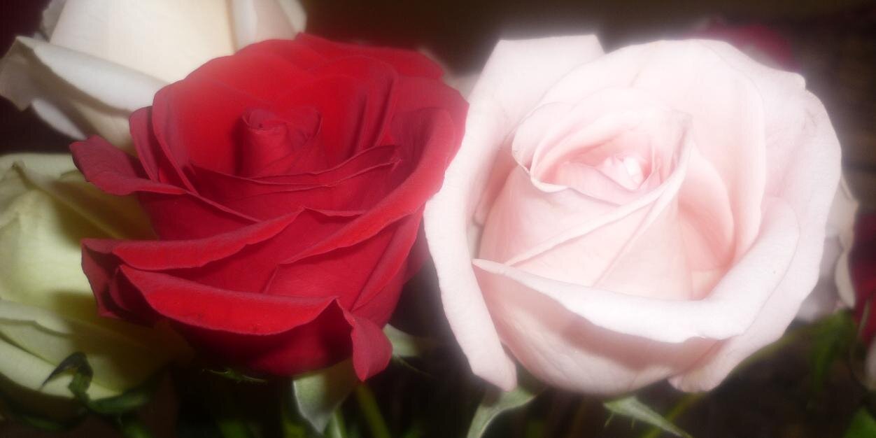 _JZCK's profile banner image