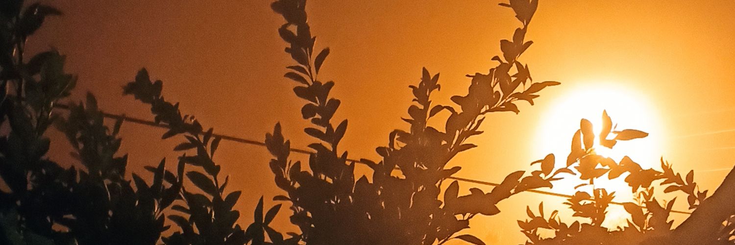 FerideKuloglu's profile banner image