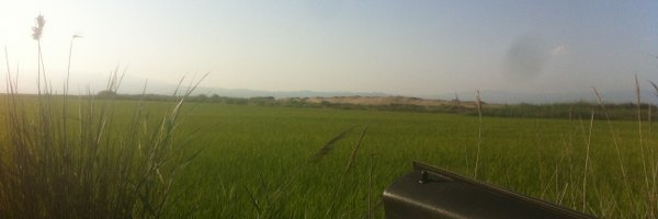 ToniMataD Profile Banner