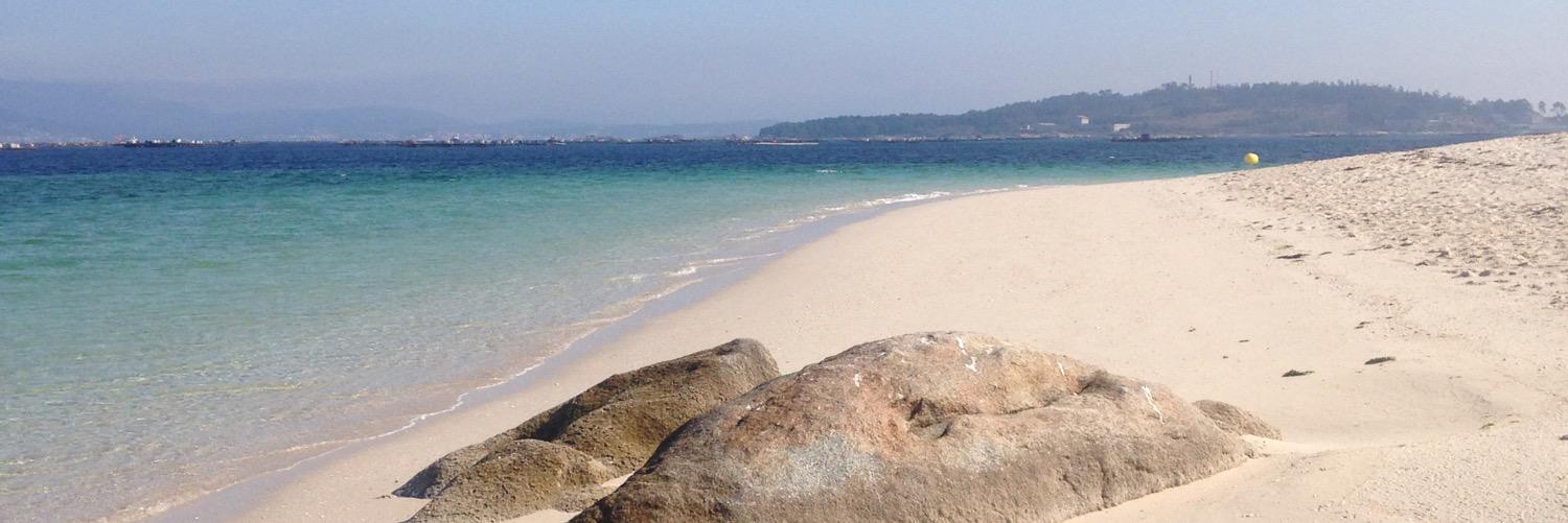 Meaghan Ramsey banner