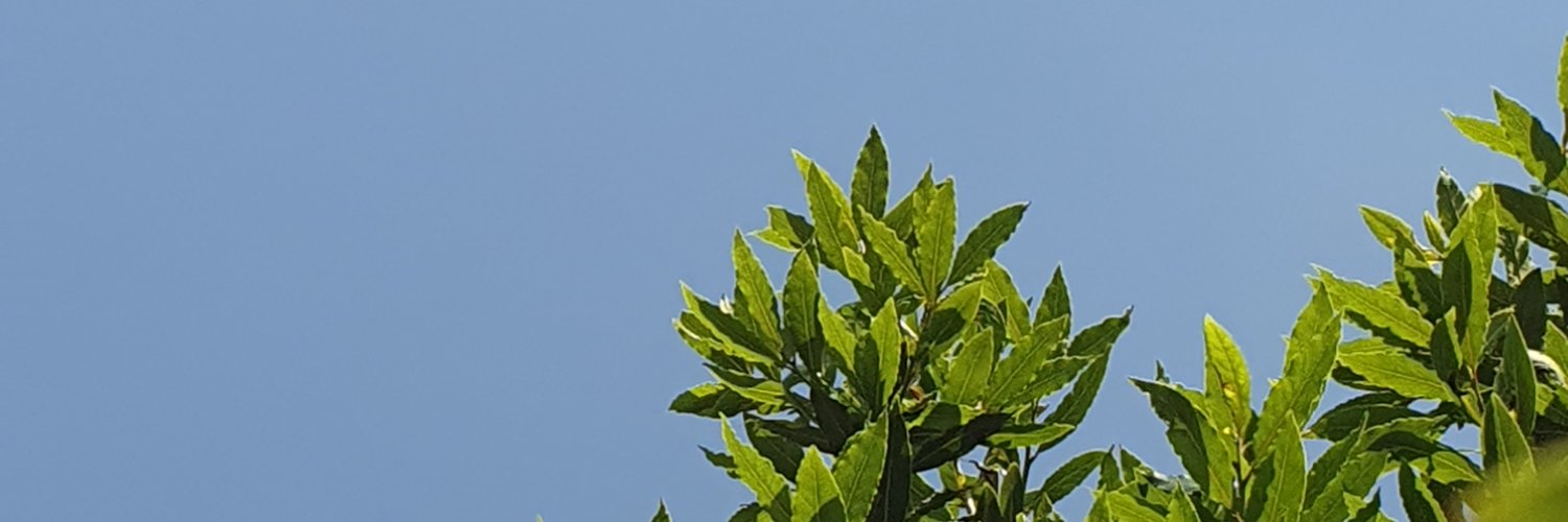disneyteletubby's profile banner image