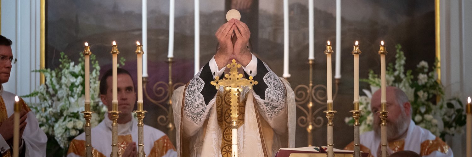 𝐅𝐫. 𝐌𝐚𝐭𝐭𝐡𝐞𝐰 𝐁𝐫𝐞𝐬𝐥𝐢𝐧™️ banner