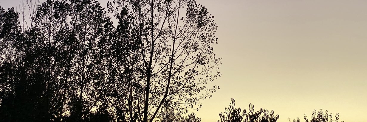 thalizzss's profile banner image