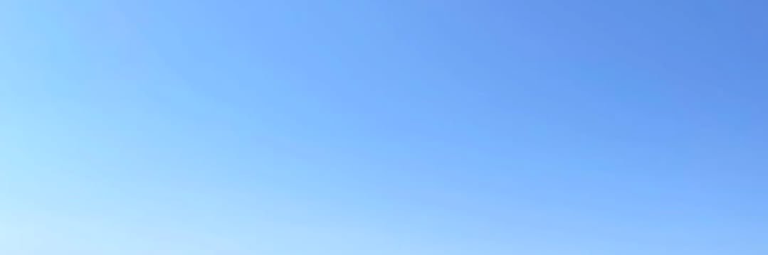 강아 banner