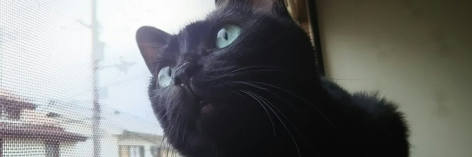 demimoko's profile banner image