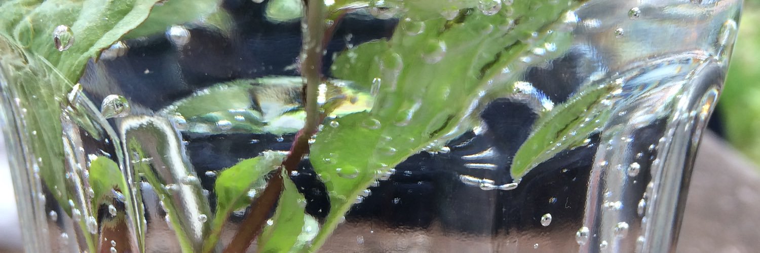 Maiox 🇮🇱🎗️🇺🇦 banner