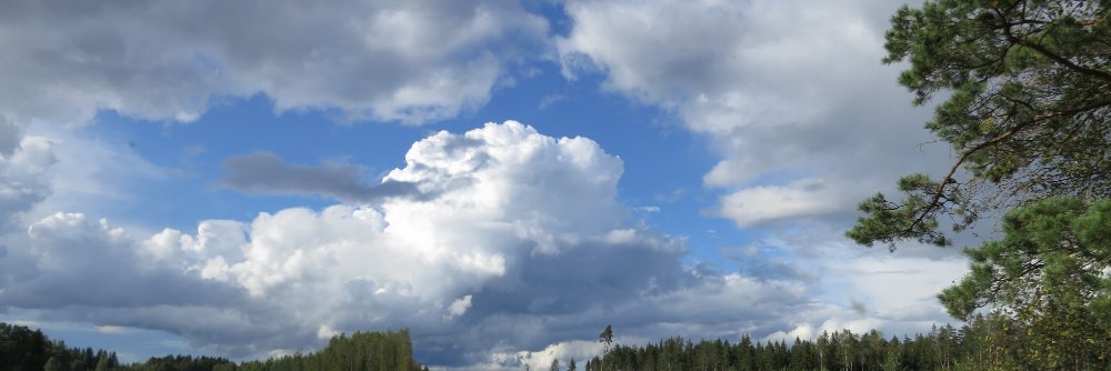 Johanna Kaitsalmi (née Olli) banner