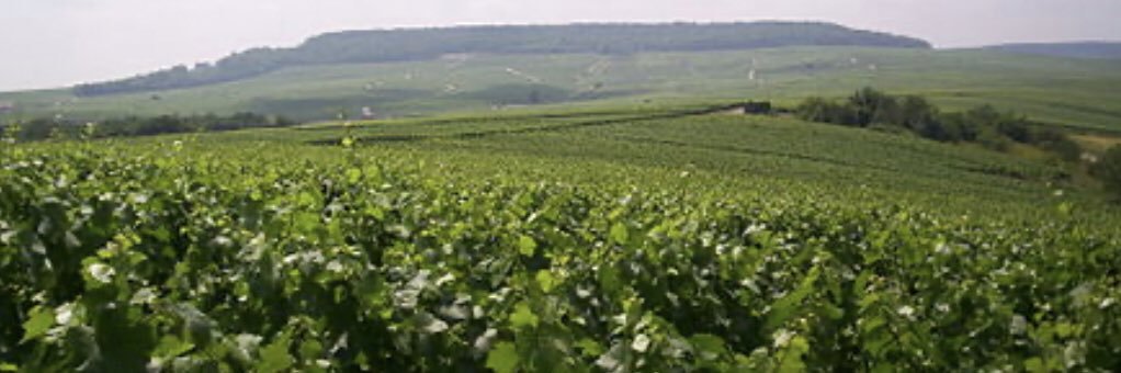 GF_Taittinger's profile banner image