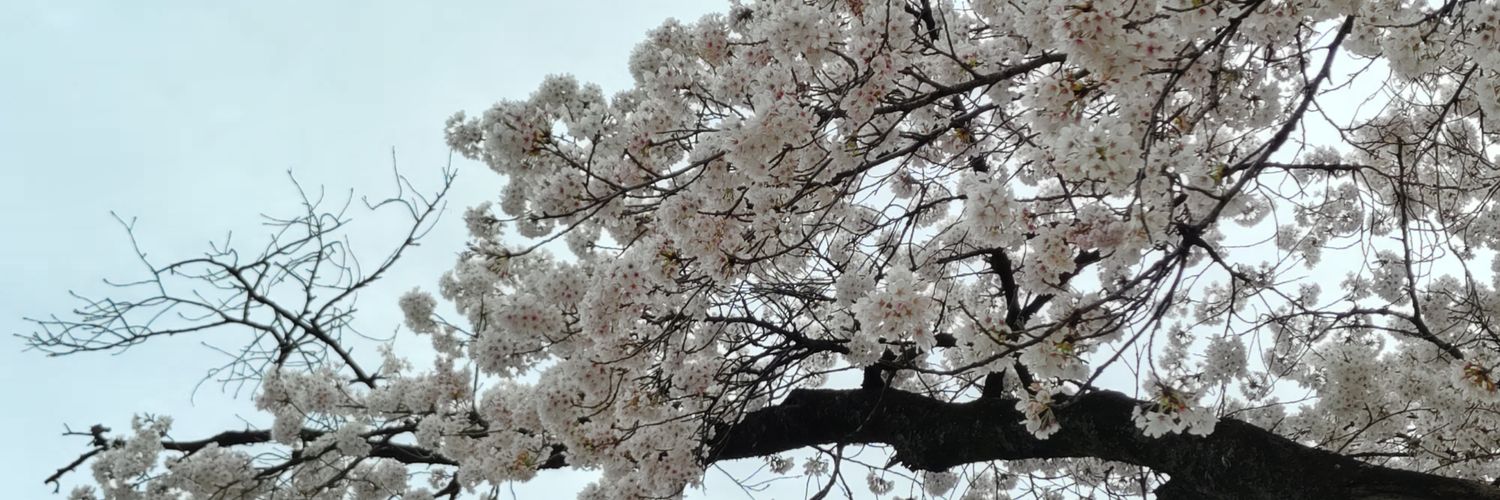 りう☺︎︎︎︎ banner