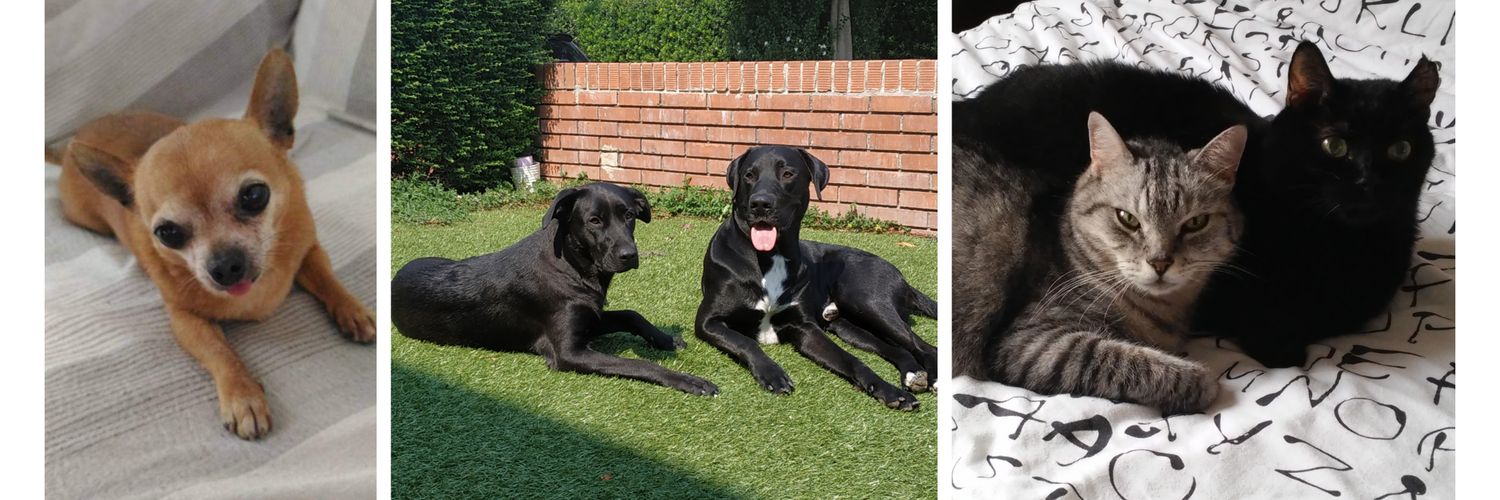 Nadia(g) 🏳️‍🌈 banner