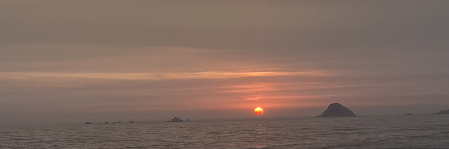 PierinaRaGo's profile banner image