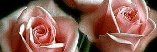 sissy_22's profile banner image