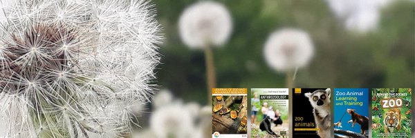 vicky_melfi Profile Banner