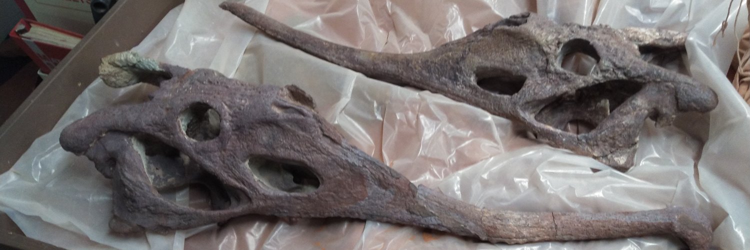 Andrew Milner banner