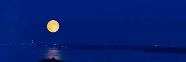 totorobles's profile banner image