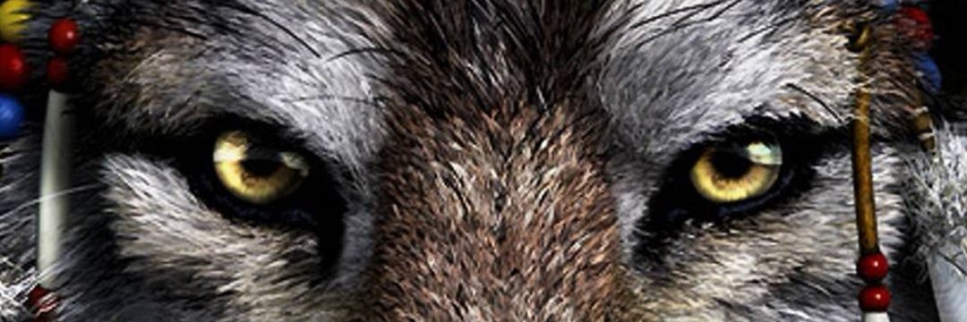 Nathan Lycan banner
