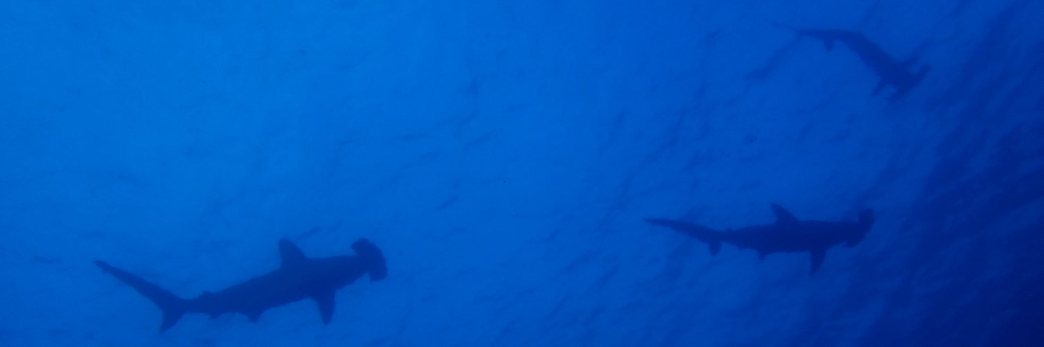 makkyyy's profile banner image