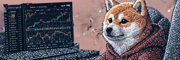 leidream1 Profile Banner