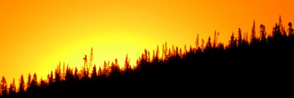 RictoGraphs Profile Banner