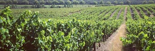 Jean_gui Profile Banner