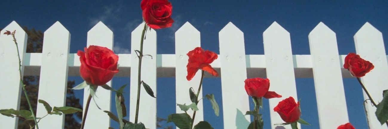 JustSlayin2's profile banner image