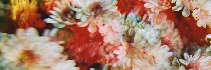 dey_na_'s profile banner image