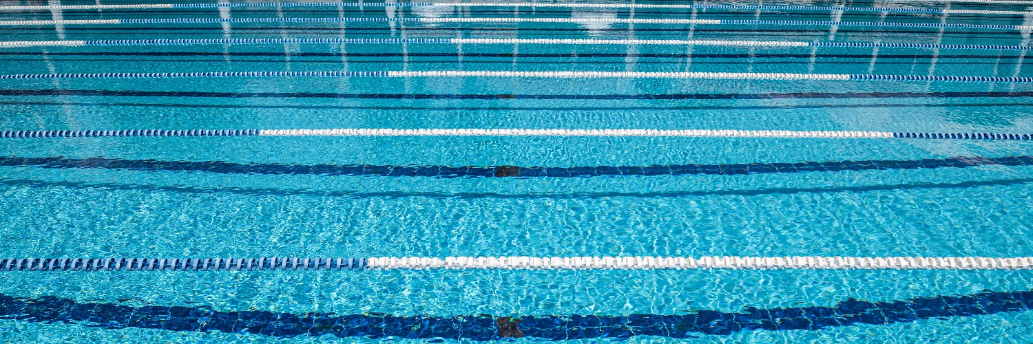 Swim It Up! banner