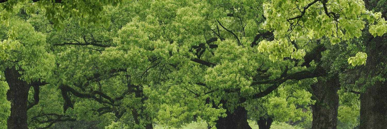 hima_fumi's profile banner image