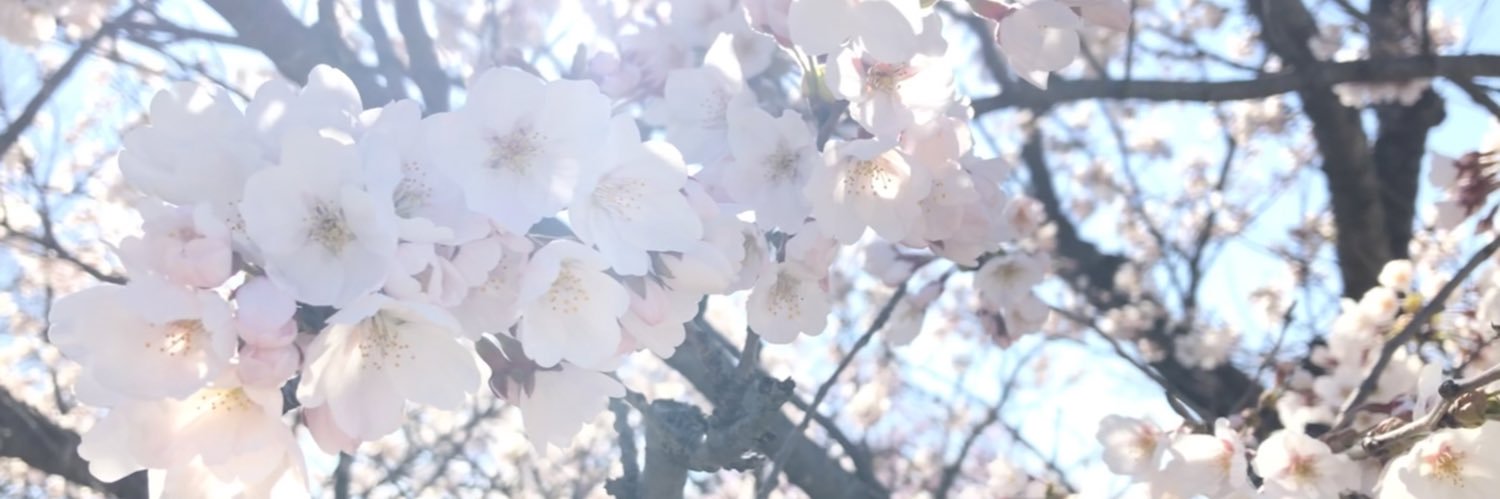 spring_izu's profile banner image