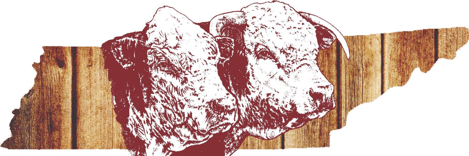 tnhereford's profile banner image