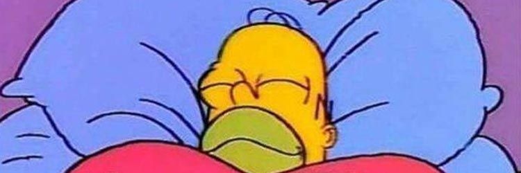 dew-kissed herba banner