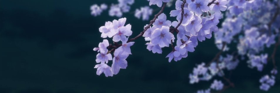 Ziradious's profile banner image