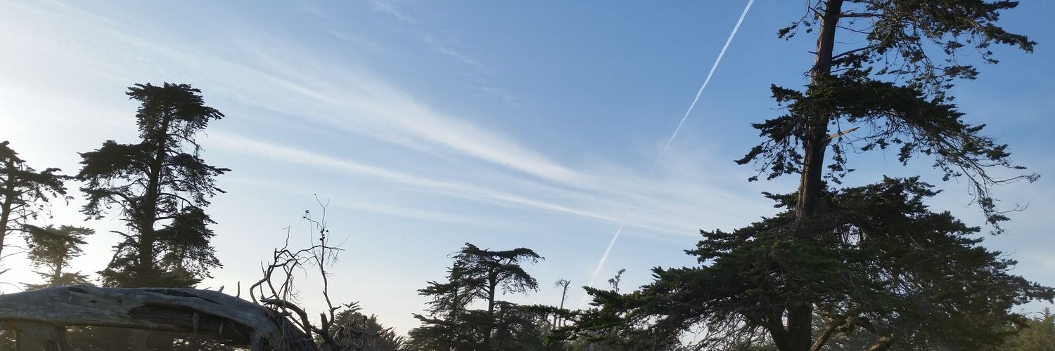 nickkwarr's profile banner image