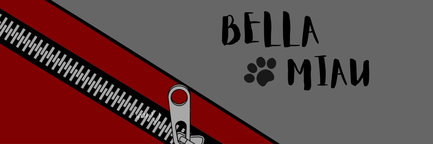 Robinson | Serquel's cat banner