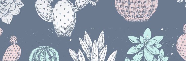 MercedesPlemons's profile banner image