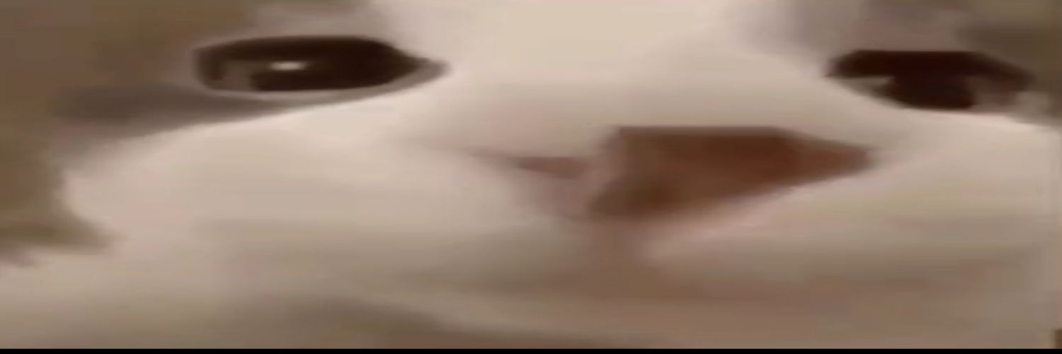 catass | smeef 🏳‍🌈 banner