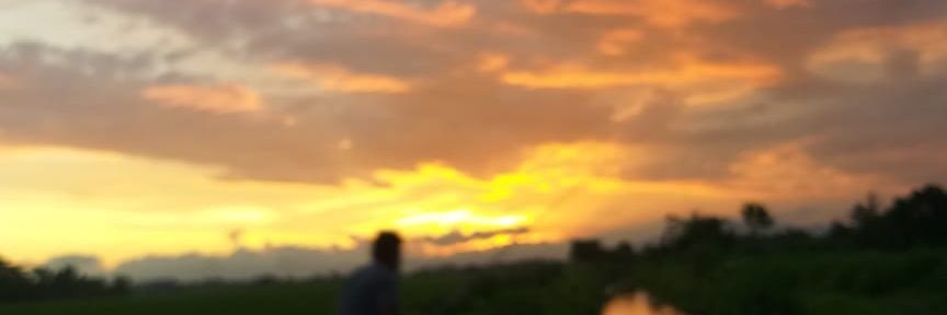 yaliyaaja's profile banner image
