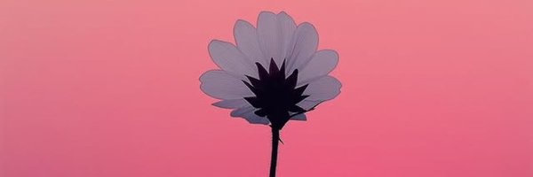 ritujha89611412 Profile Banner