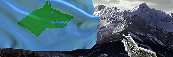 osmnyld571's profile banner image