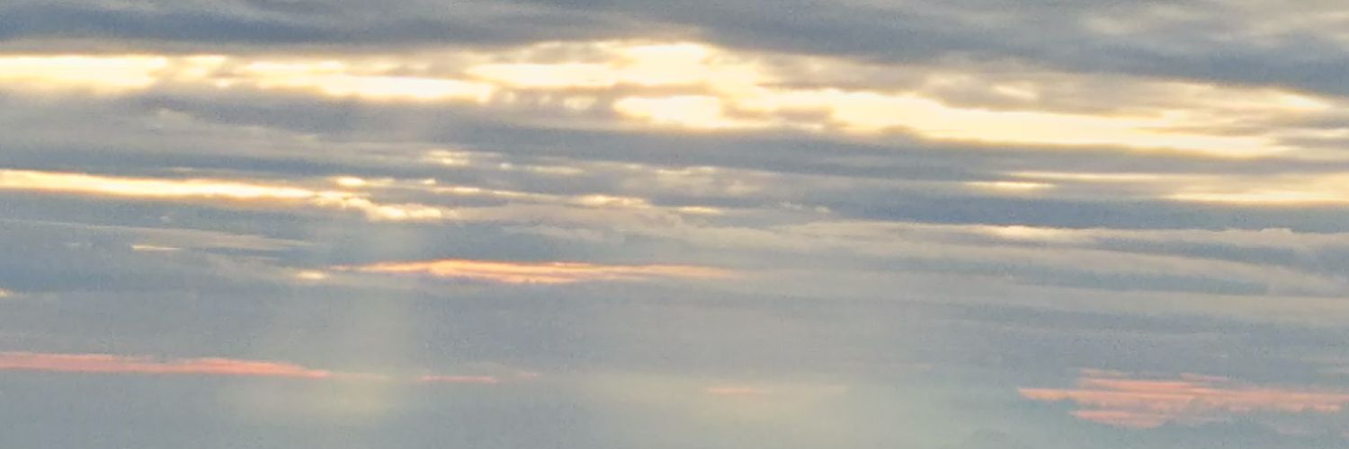 🦊 banner