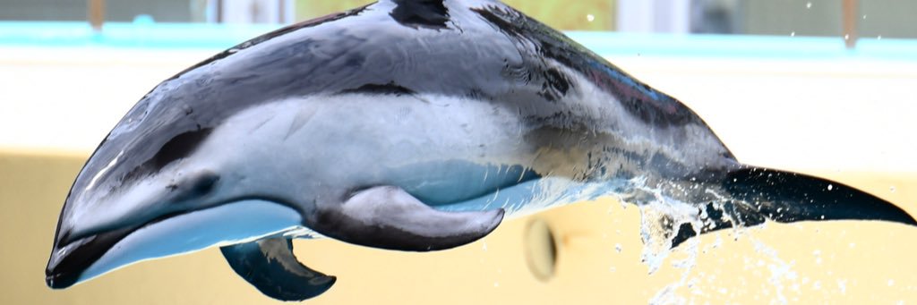 ester_st's profile banner image