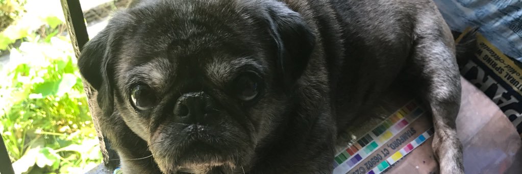 2nd5d's profile banner image