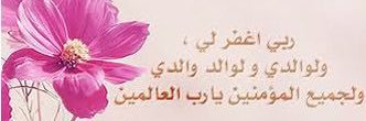elnoorry's profile banner image