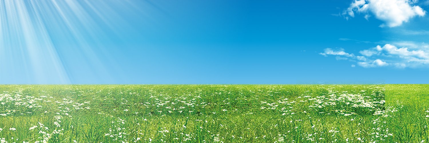 Sele| ETHGas ⛽ banner