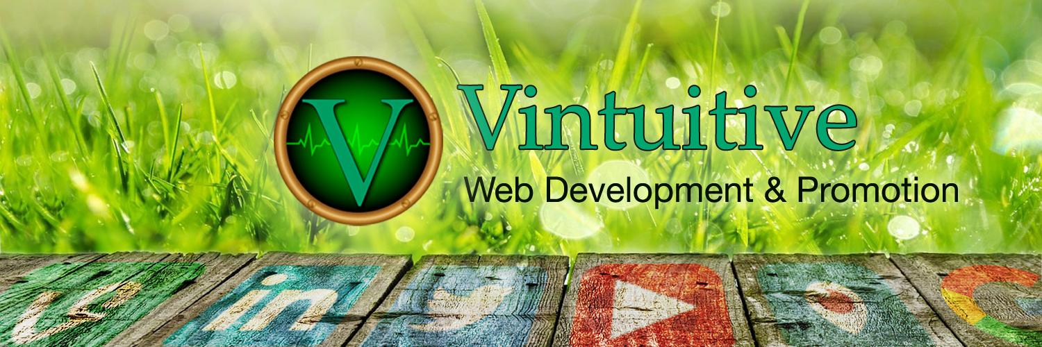 Vin @ Vintuitive ⚡🌐 banner