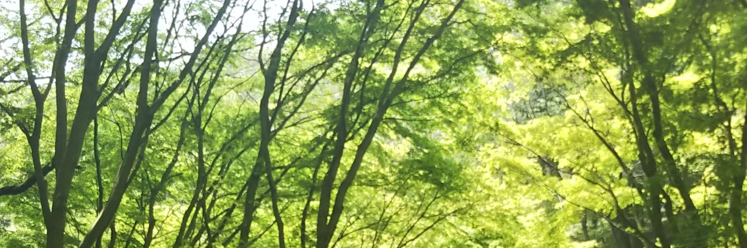 saarukochan's profile banner image