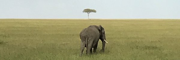 DanielSSchearf Profile Banner