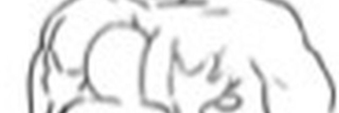 HypnoMoew's profile banner image