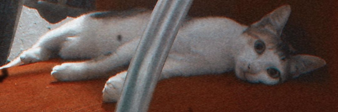 ashlleyye's profile banner image