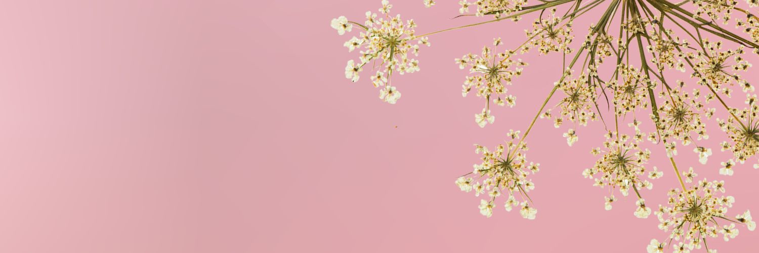 𝐃𝐞𝐞 banner